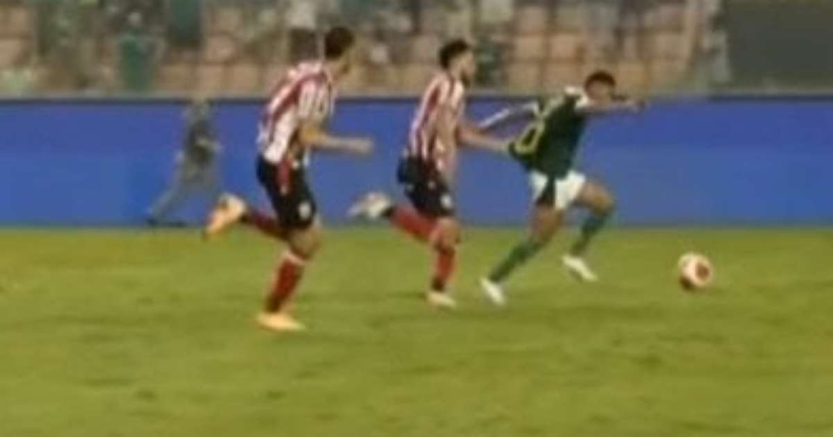 Opiniões divergem sobre expulsão no jogo entre Palmeiras e Botafogo-SP