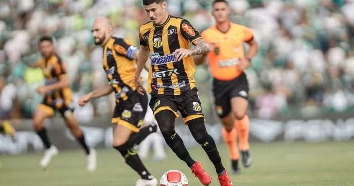 Reforço do Palmeiras Brilha no Novorizontino e Tem Missão de Eliminar São Paulo