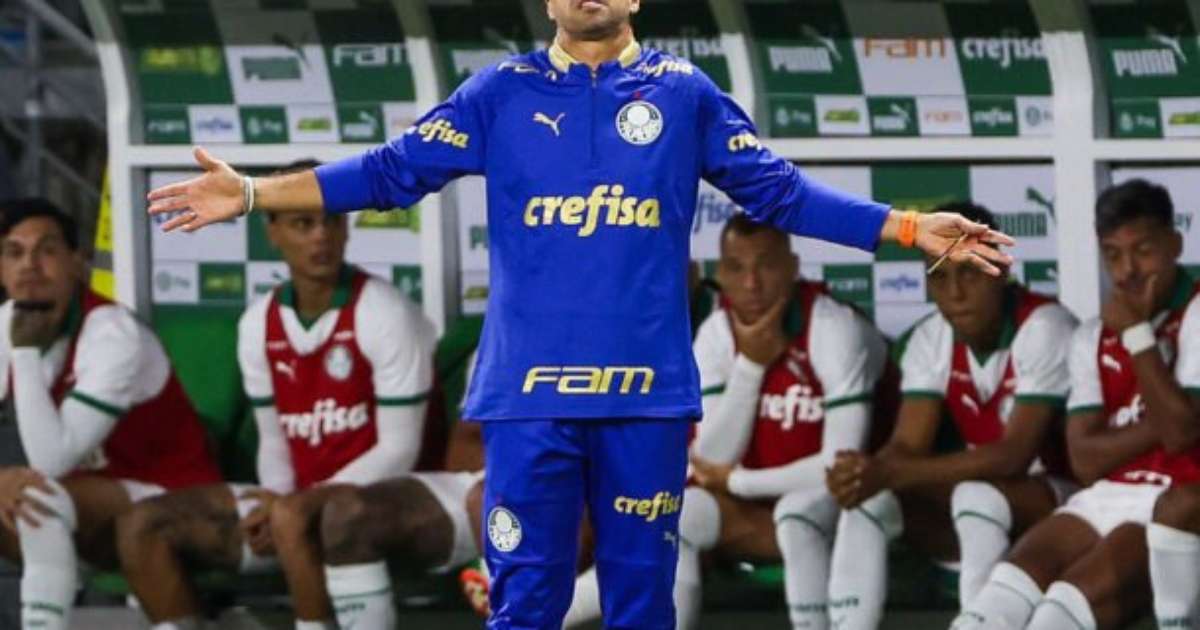 Abel projeta final da Libertadores contra o Santos: equipe superior ao ano anterior.