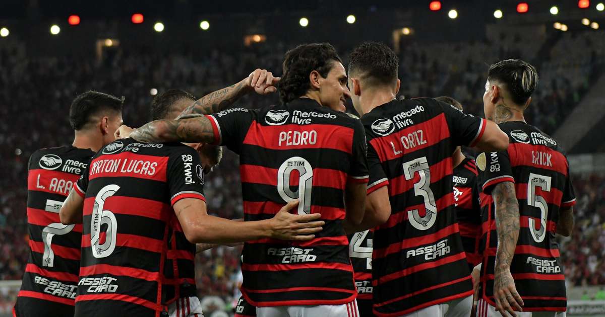 Flamengo: Elenco, Desafios e Perspectivas no Brasileirão 2024