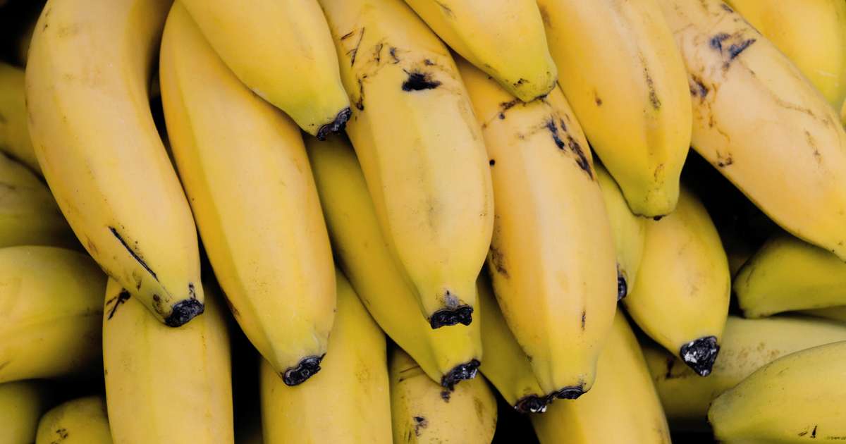 Chá de banana: aliado na perda de peso e na saúde do coração