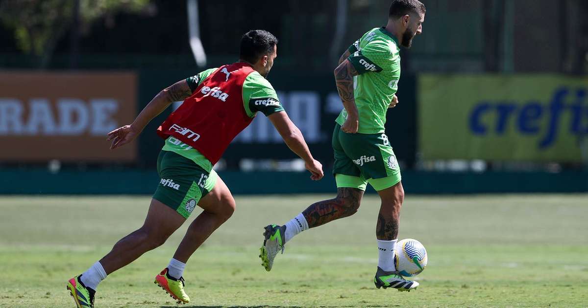 Palmeiras se reapresenta com possível reforço para estreia na Copa do Brasil