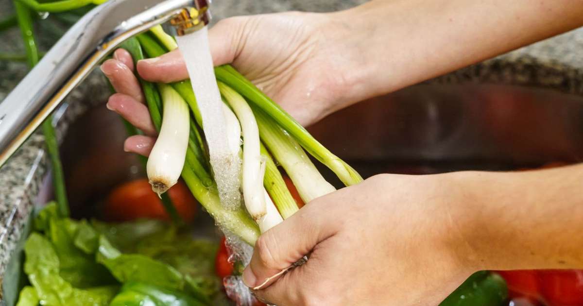 Escova Para Lavar Legumes Tawashi - Prática E Ecológica