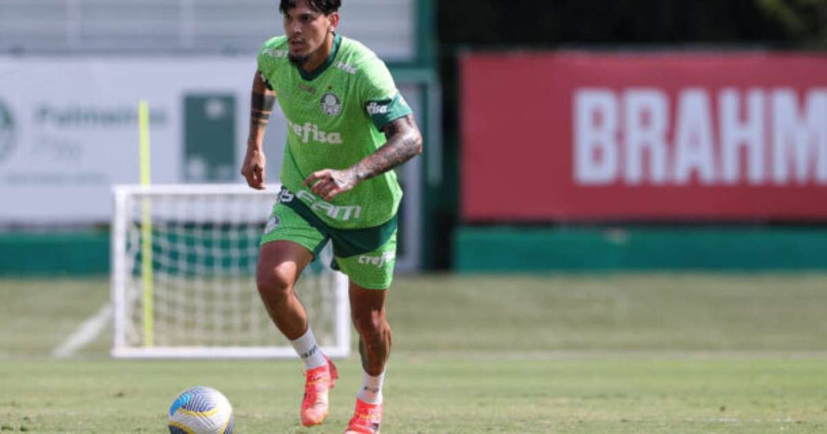 Palmeiras Se Reapresenta Com Gustavo Gómez Falando Sobre Aniversário no Avião.