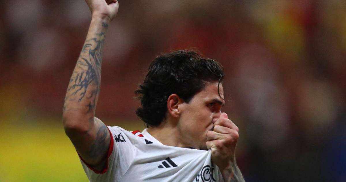Pedro brilha com vigésimo gol e é destaque do Flamengo na temporada 2024