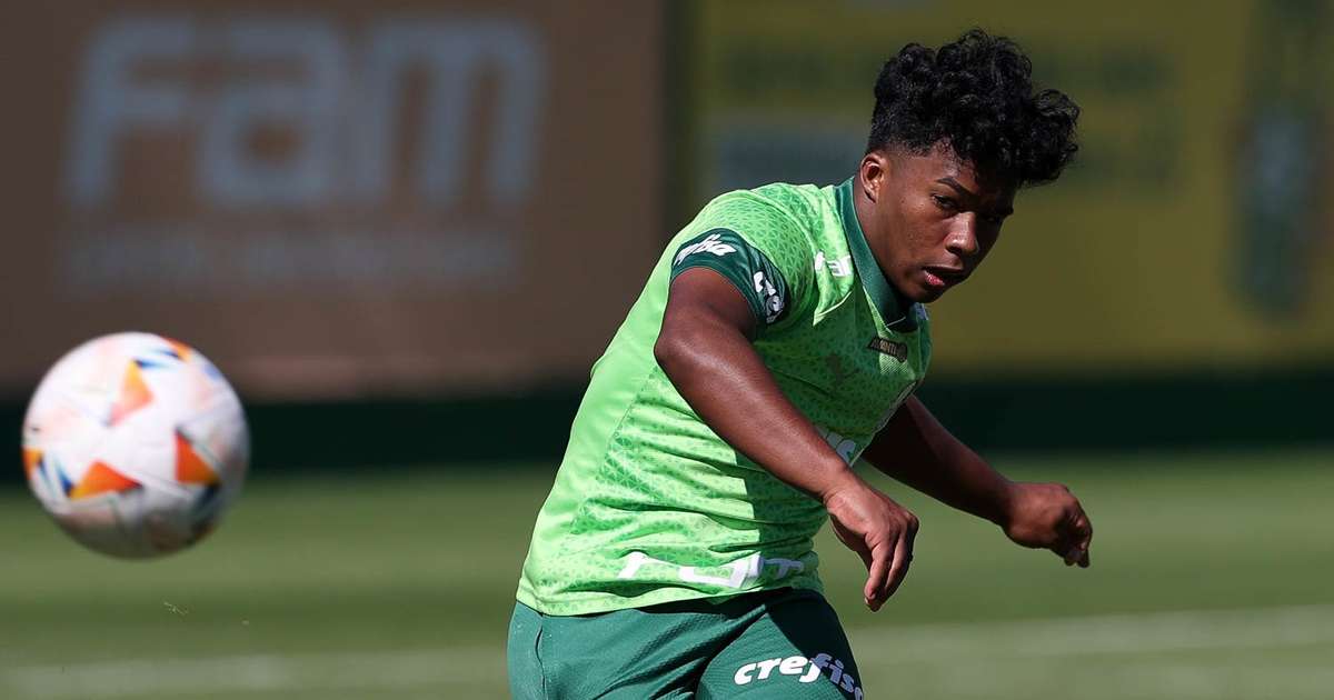 Endrick se despede lotando estádio e agradece Palmeiras em evento emocionante.