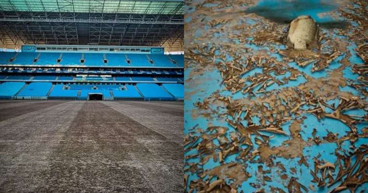 Arena do Grêmio inicia limpeza pós-enchente e descobre presença de peixe