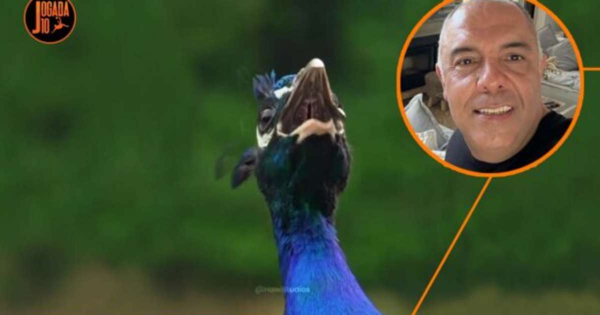 Novo Enigma de Marcos Braz anima Torcedores do Flamengo no Futebol Brasileiro