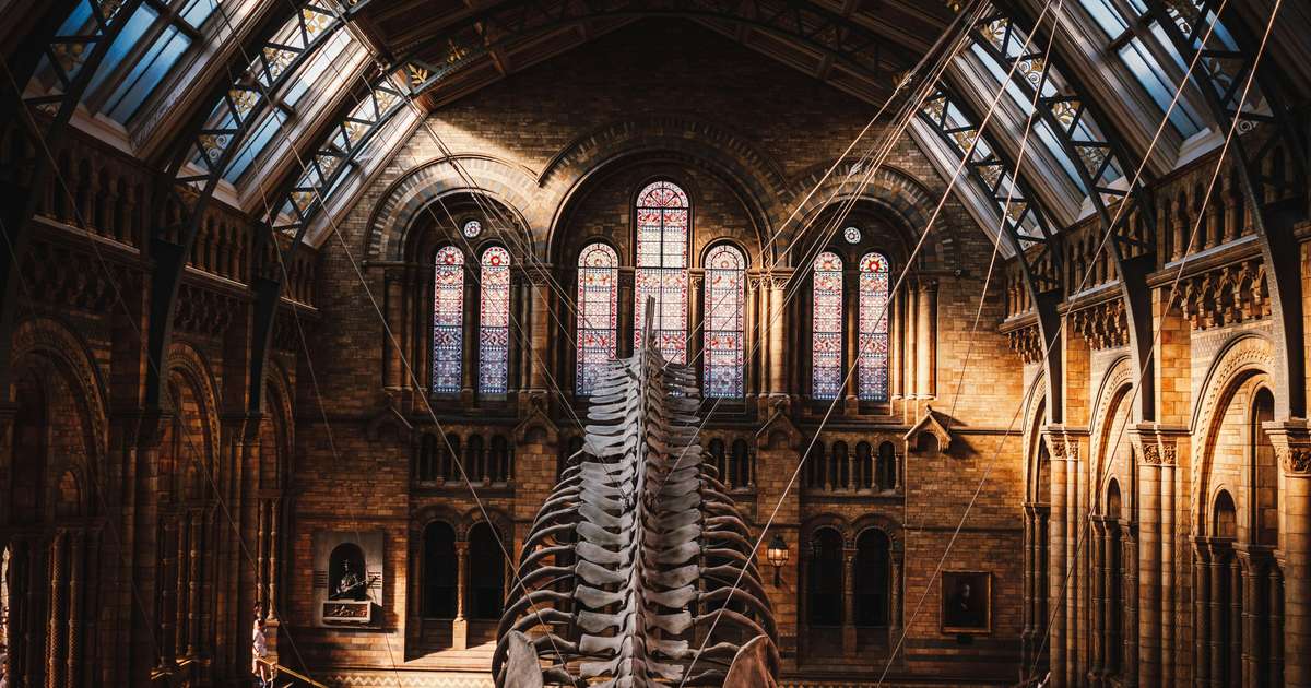 Museo de Historia Natural de Londres realiza un recorrido sobre las mujeres en la ciencia