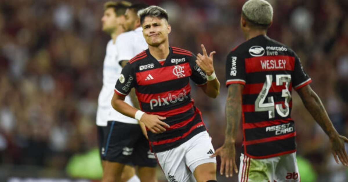 Importância de Luz Araújo no Desempenho do Flamengo no Brasileirão