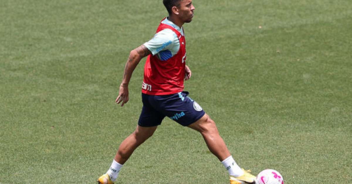 CONFIANTE! Marcos Rocha confiante na virada do Palmeiras contra o Flamengo