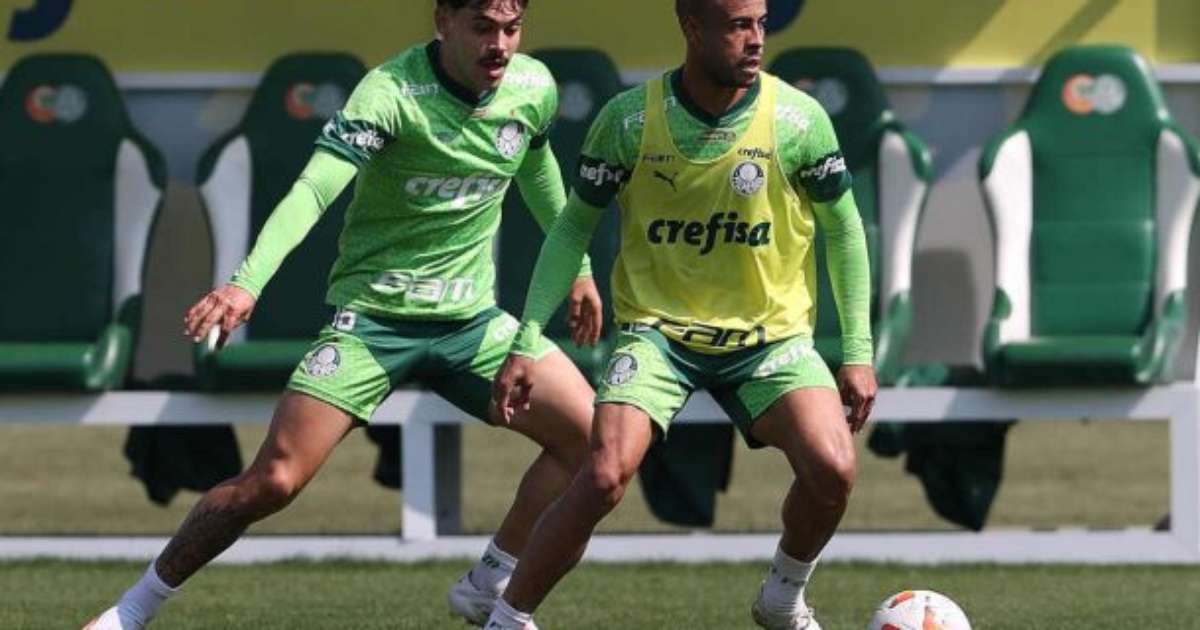 Palmeiras pode contar com Mayke diante do Botafogo no Brasileirão.