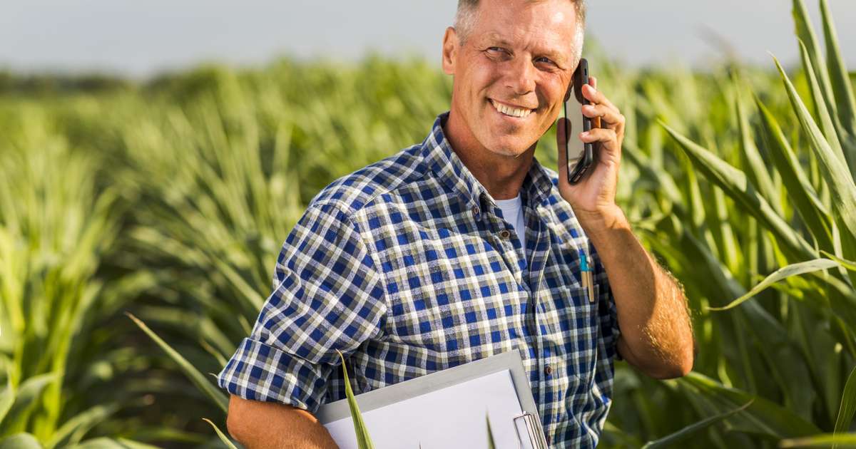 Tecnologia impulsiona a digitalização do campo