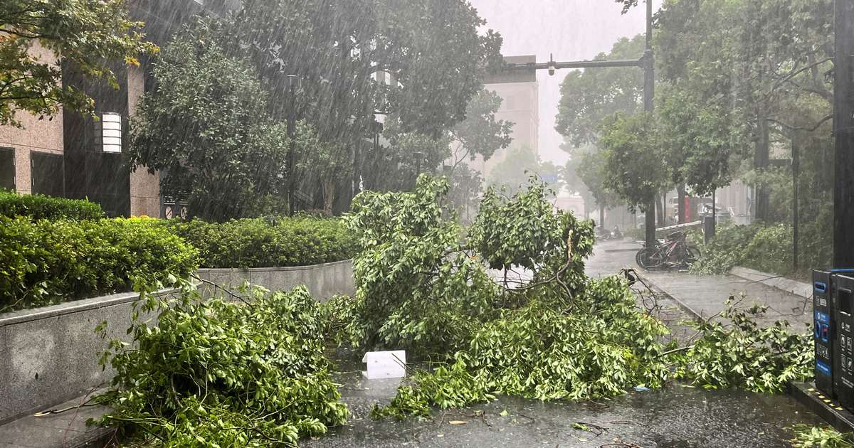 Strongest typhoon in 75 years hits Shanghai, China