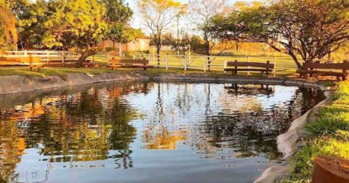 Sítio de Zé Love em ação judicial