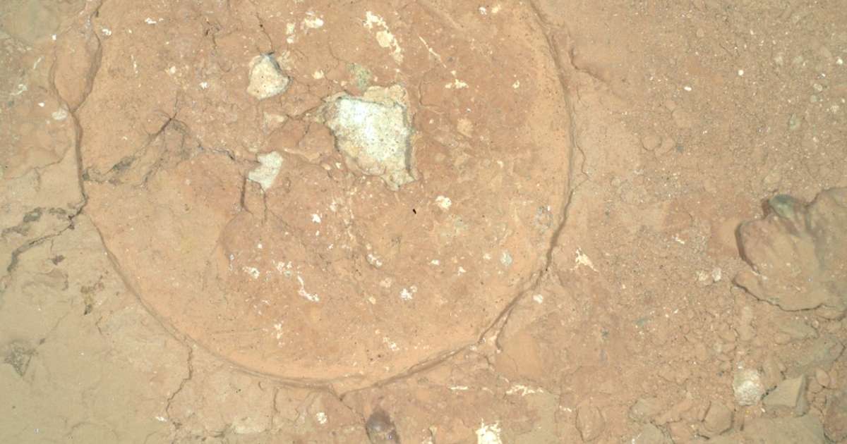 Rocha descoberta em Marte pela Nasa intriga cientistas, entenda