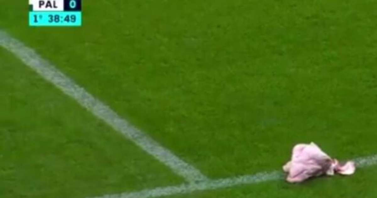 Polícia Investiga Presença de Cabeça de Porco na Neo Química Arena