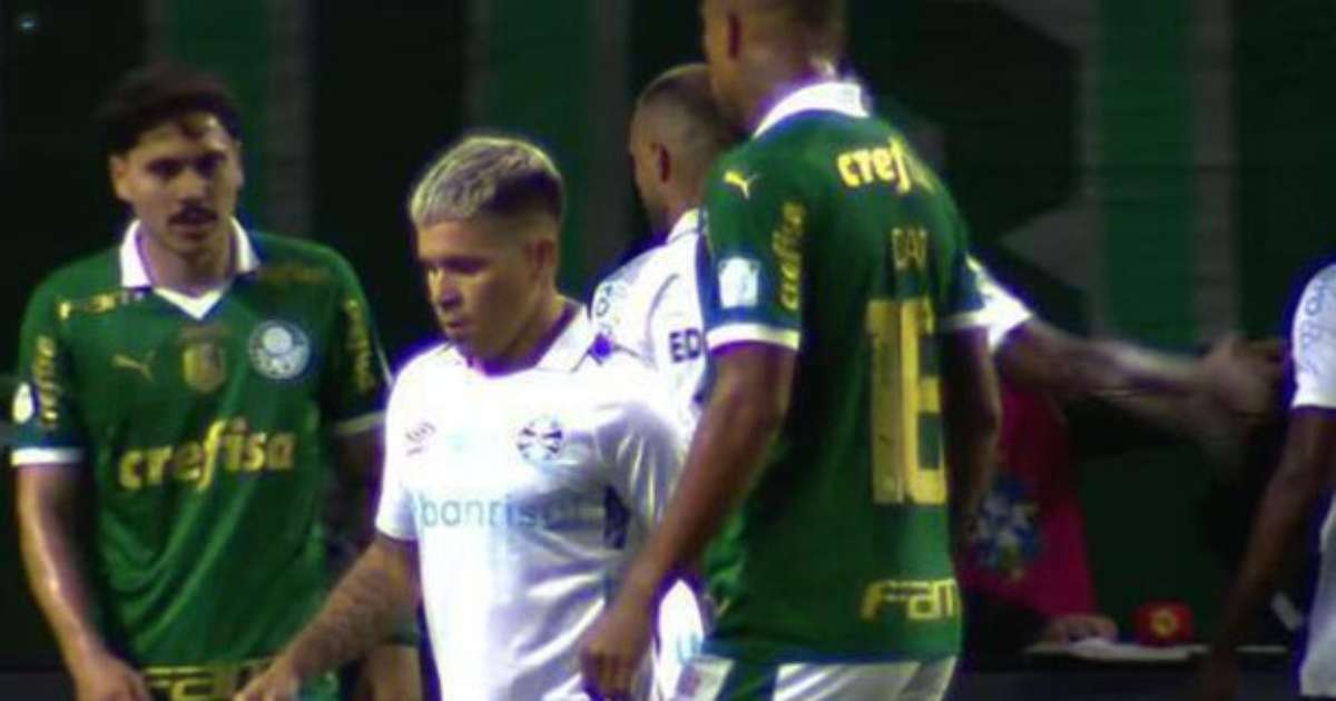 Palmeiras vence Grêmio e mira liderança, agora secando Botafogo no Brasileirão.