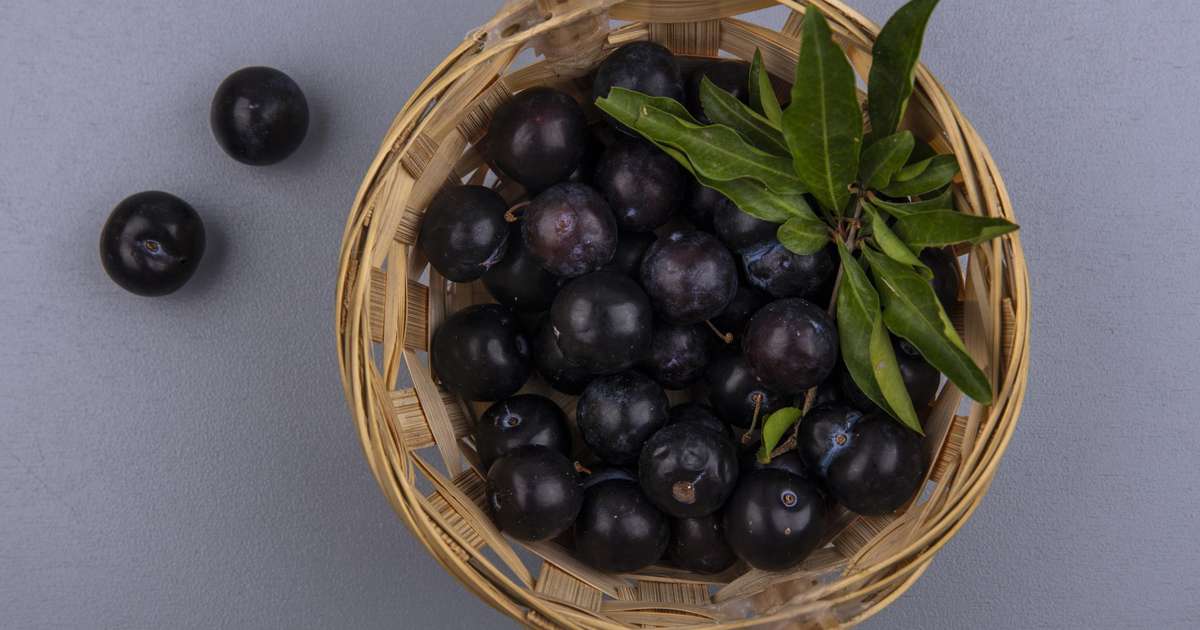 Pão com casca de jabuticaba pode ser uma nova solução para controlar a diabetes