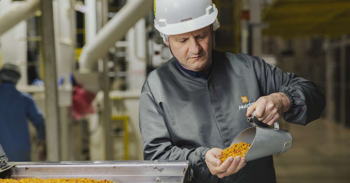 Empresa investe em nutrição adequada de cães e gatos