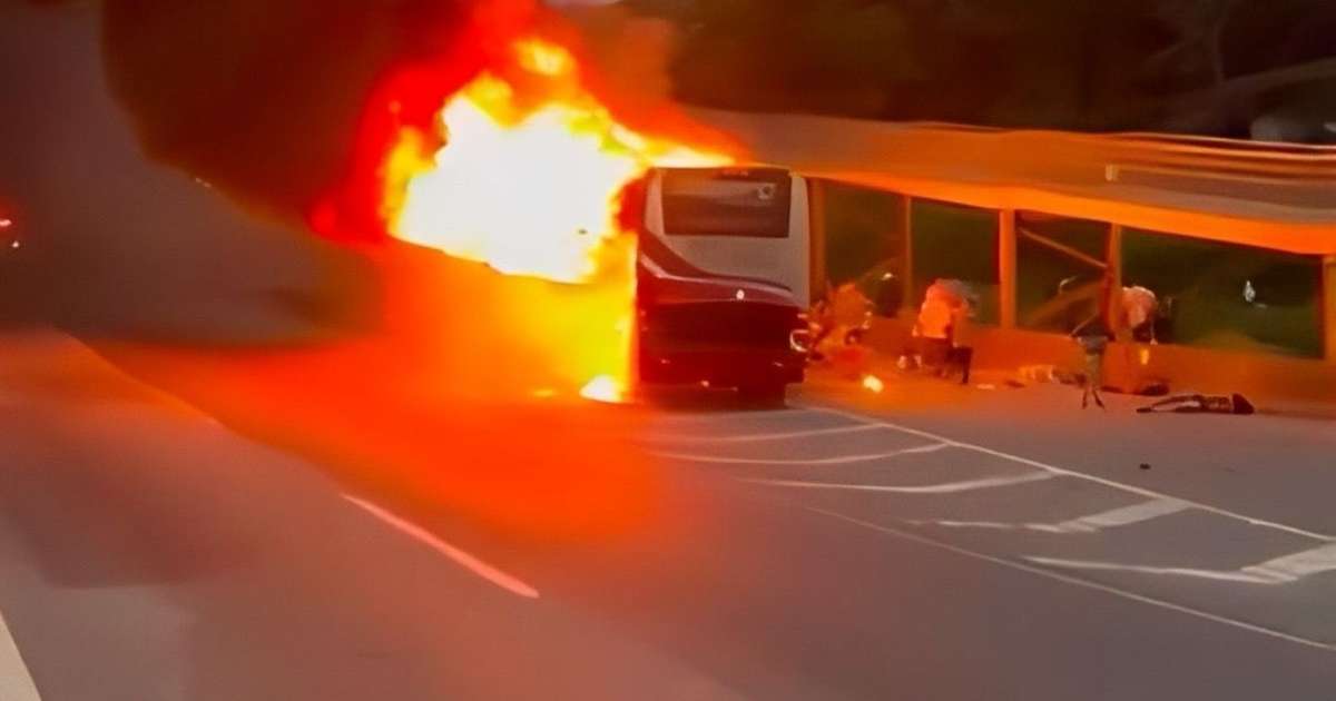 Palmeiras processado por morte de torcedor em emboscada; Mancha Verde envolvida.