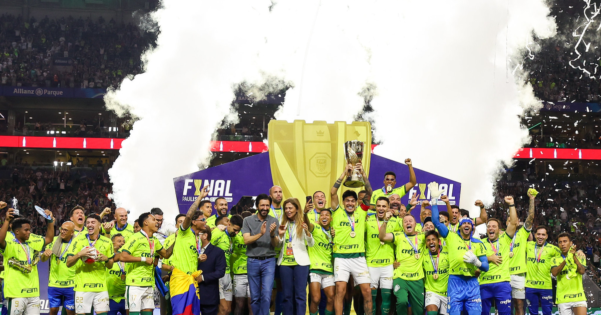 Retrospectiva 2024: Temporada do Palmeiras com Destaques e Resultados Importantes