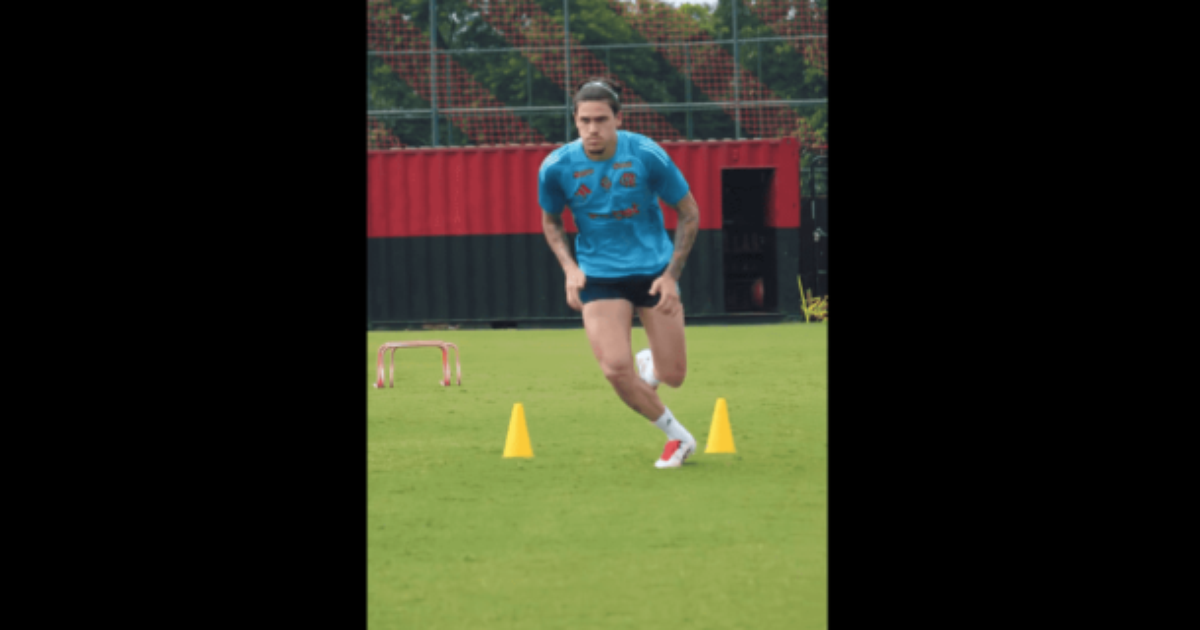 DE VOLTA? Retorna às atividades no campo após recuperação.