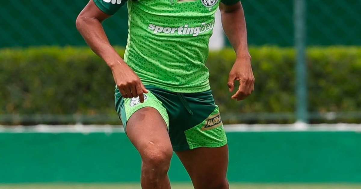 Rony deve permanecer no Palmeiras até a próxima janela de transferências.