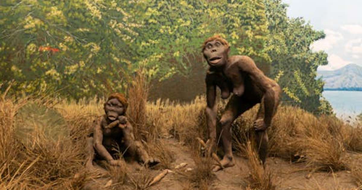 Estudo sobre como ancestrais dos seres humanos corriam mostra que eles ...