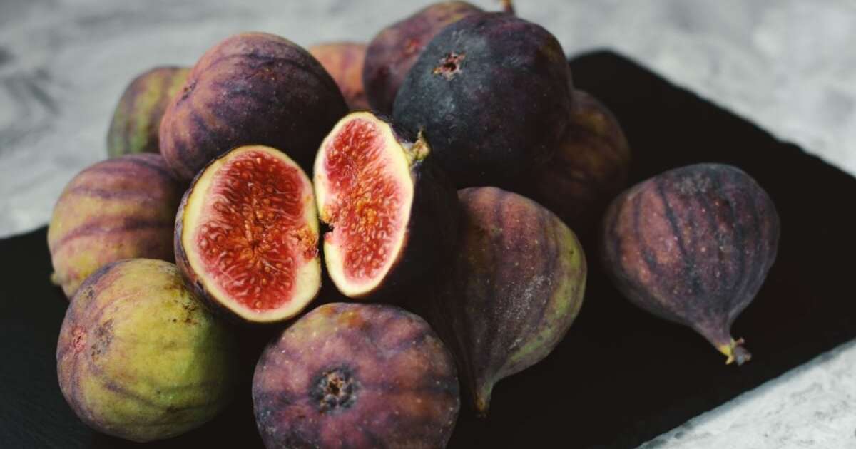 Figos Da Rocha 6 benefícios do figo para a saúde e como consumi-lo