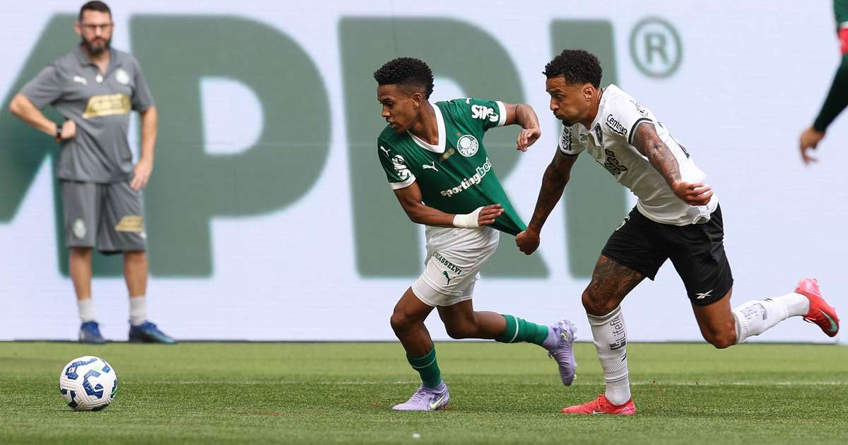 Palmeiras empata com o Botafogo dentro de casa na estreia pelo Brasileirão