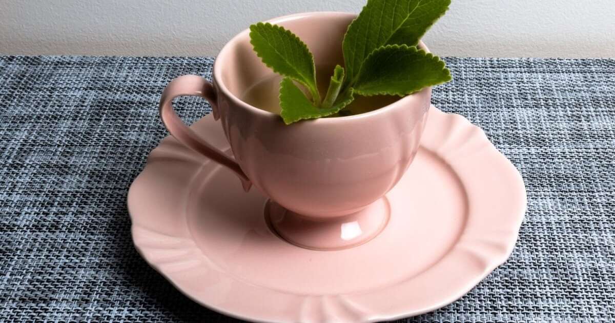 7 chás para melhorar a saúde do fígado