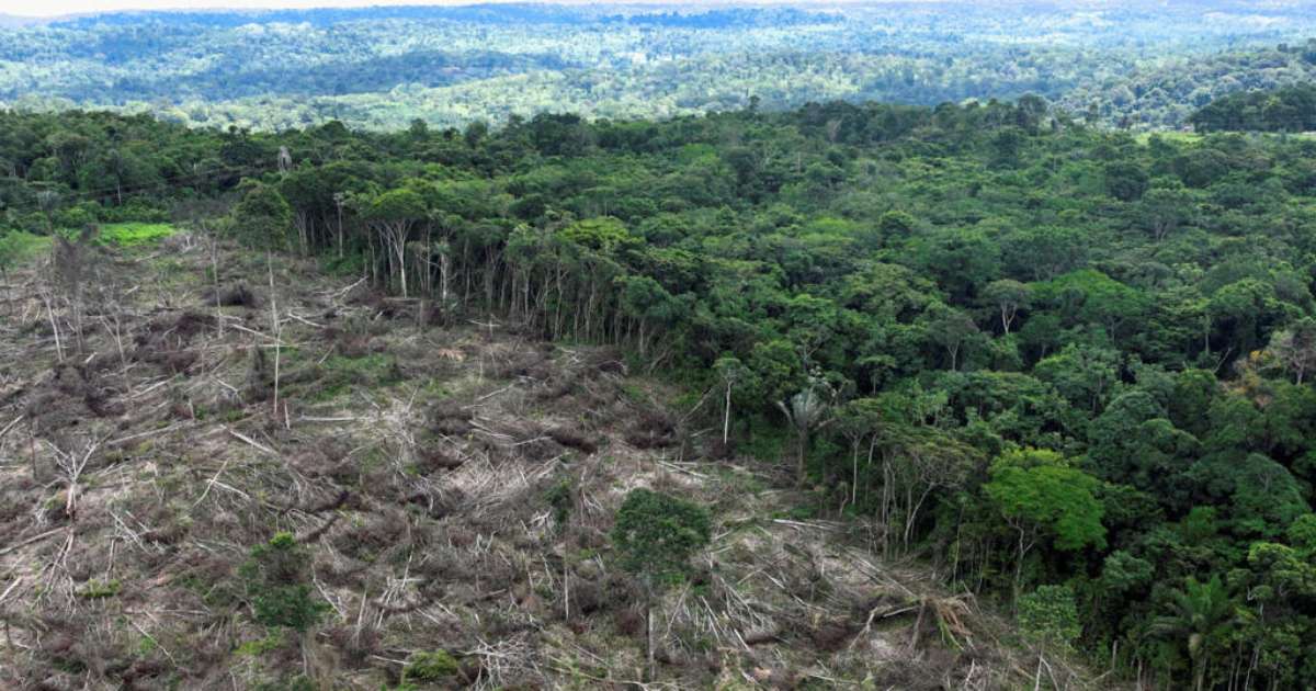 SUPPORTO CENTRALE LOGO BABY FROG - Foto 13