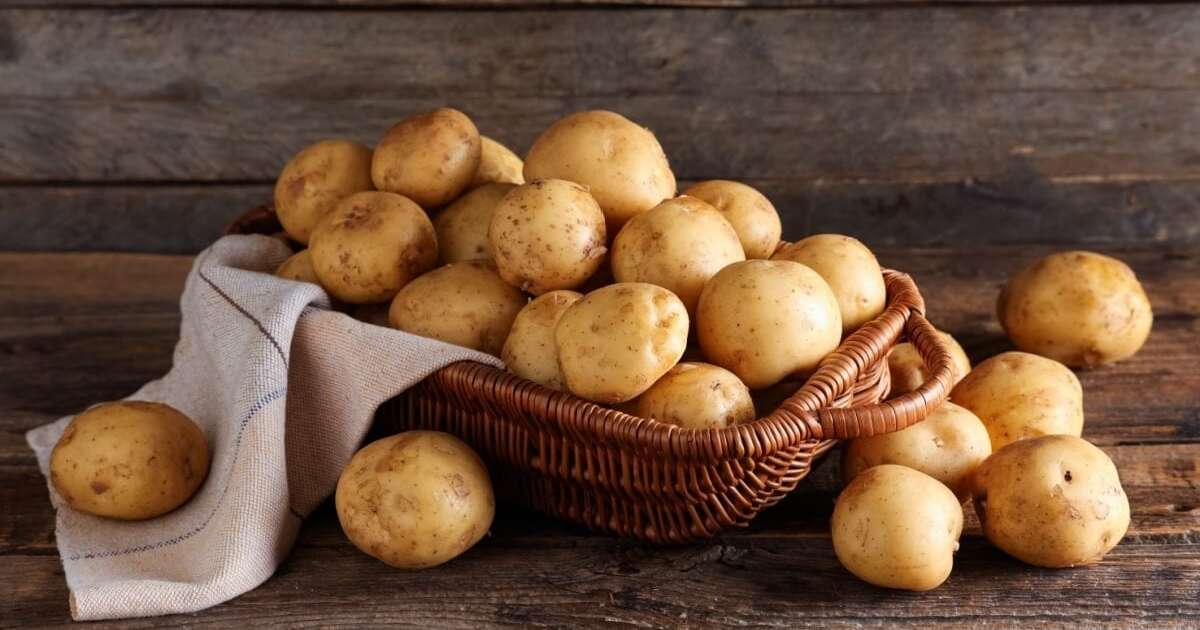 Batata: 6 Razões Surpreendentes para Incluí-la na Sua Dieta (e Benefícios que Você Precisa Saber!)