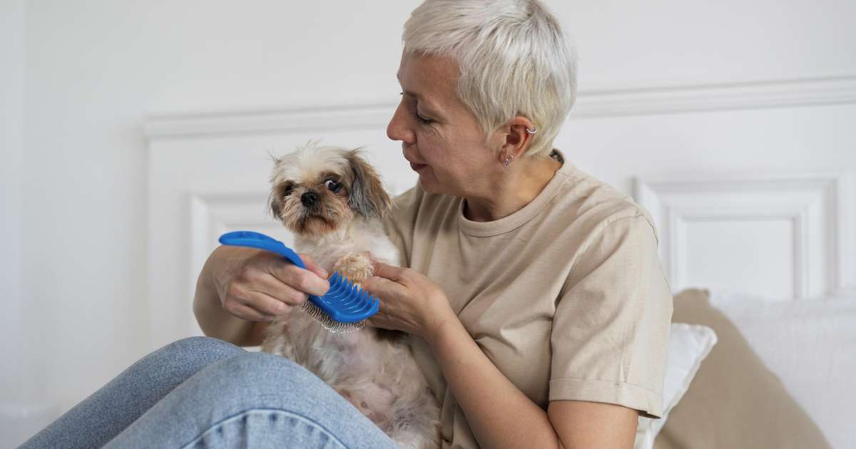 8 raças de cachorros recomendadas para tutores idosos