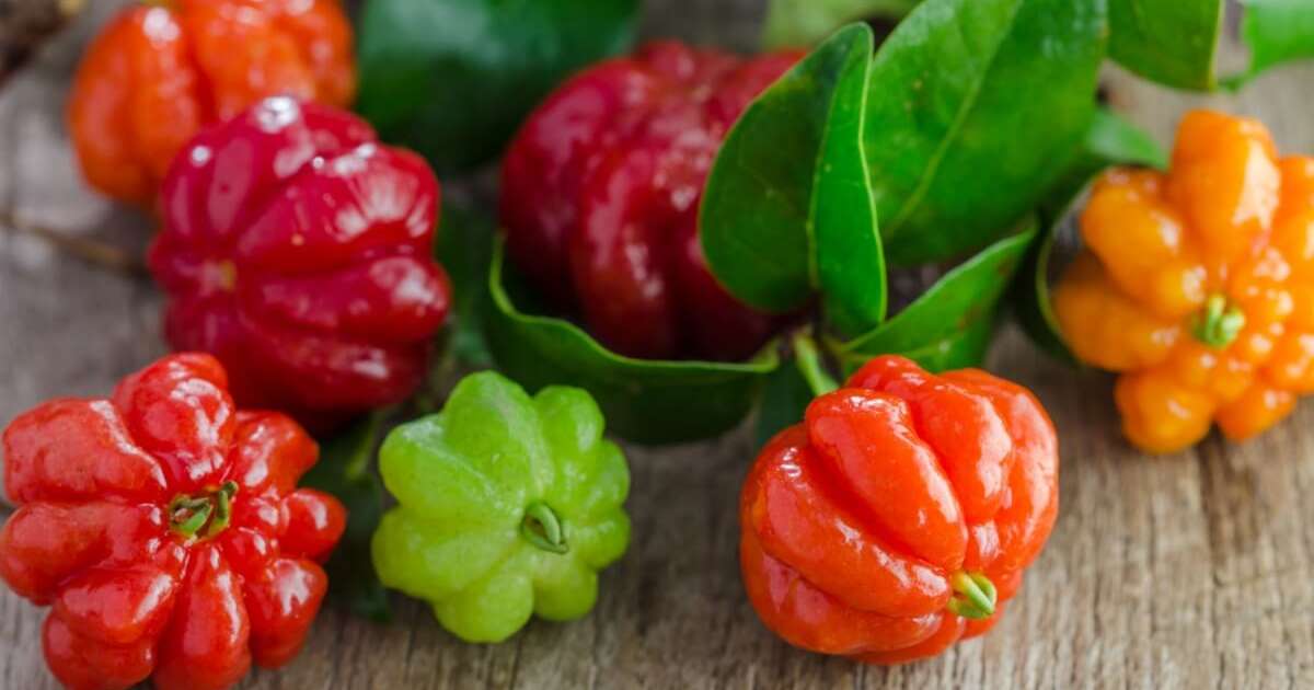 5 benefícios da pitanga para a saúde