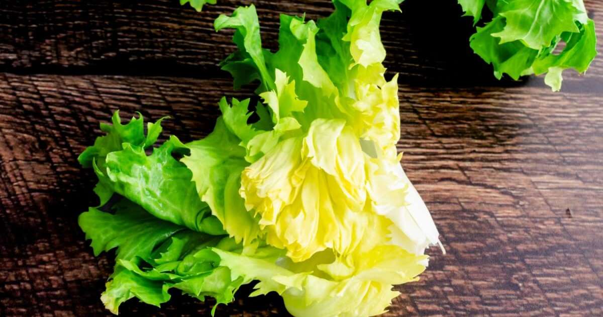 5 benefícios da escarola para a saúde