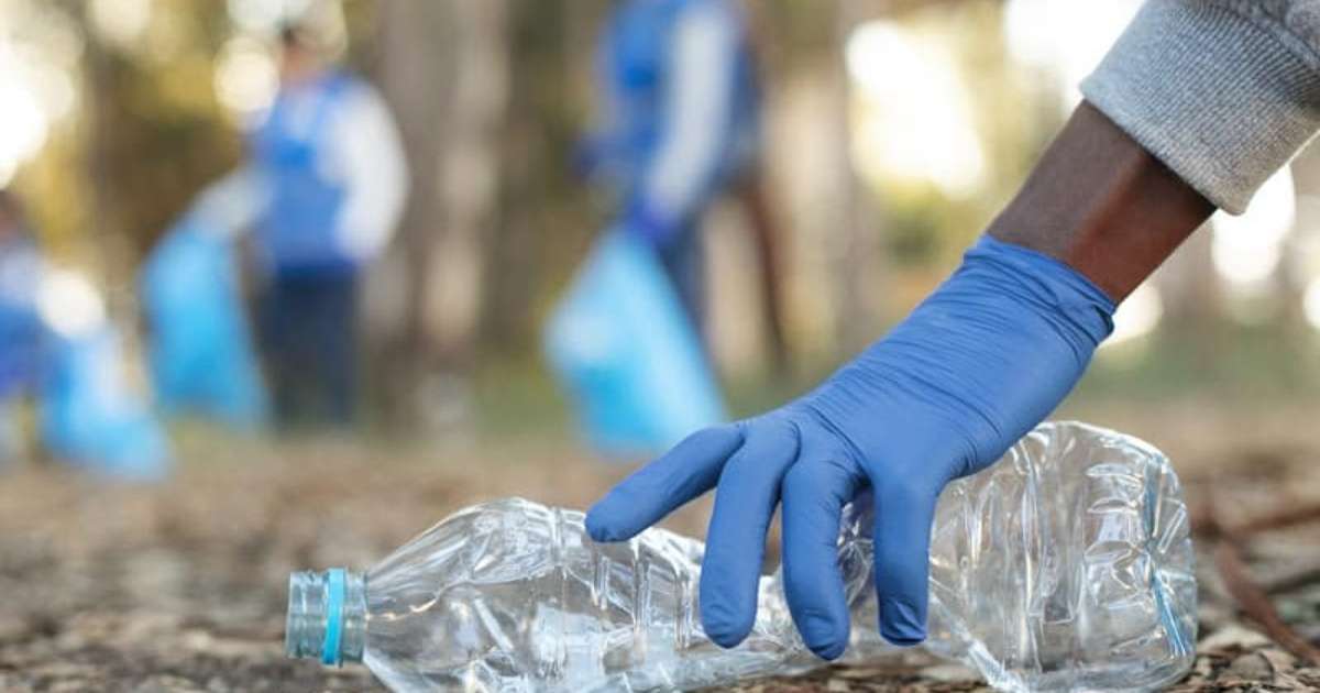 81% evitam desperdício e 75% reciclam: hábitos dos brasileiros em alta