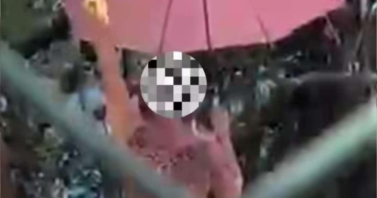 Jogadores do Cruzeiro relatam episódio de racismo durante partida de futebol