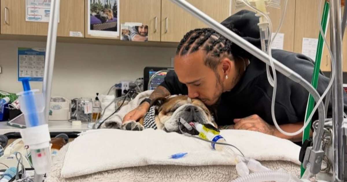 F1: Lewis Hamilton atualiza sobre estado de saúde de Roscoe