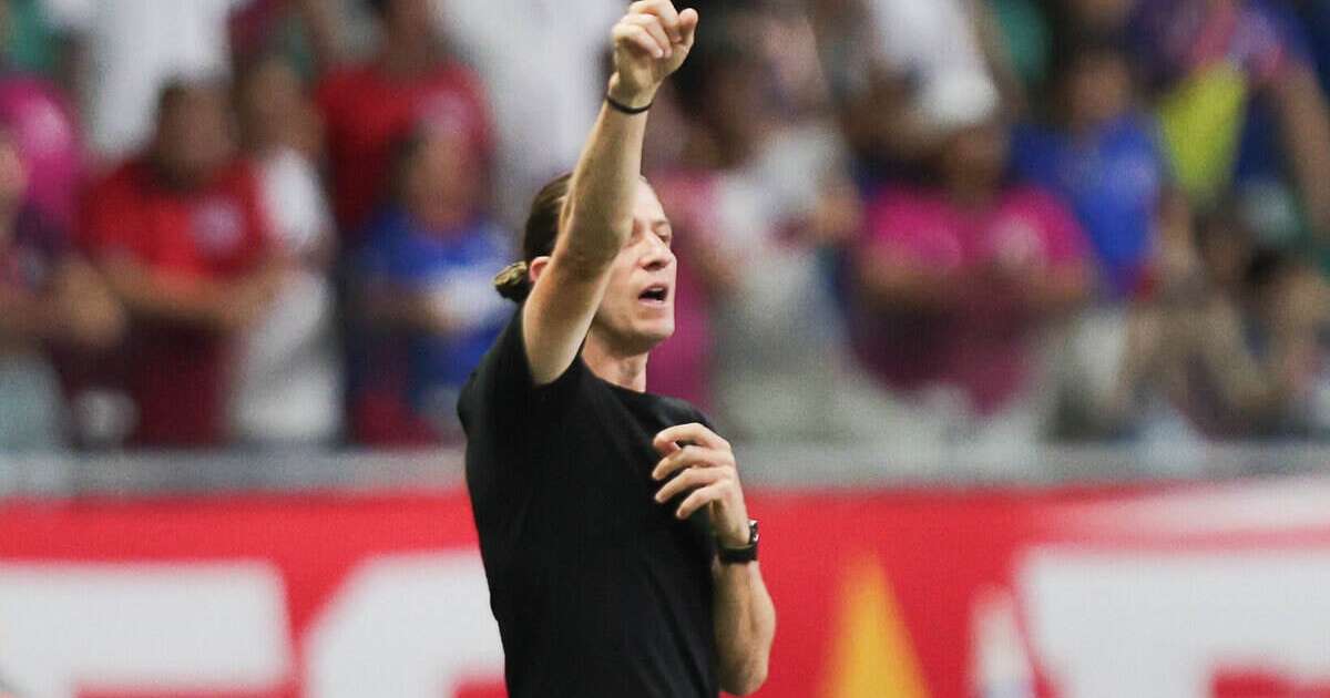 Palmeiras na Reta Final: Assaf Acredita que Flamengo Já Entregou o Brasileiro