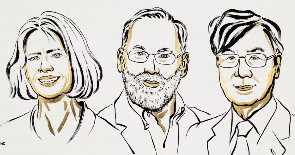 Nobel de Medicina: ganhadores revolucionam os tratamentos contra o ...