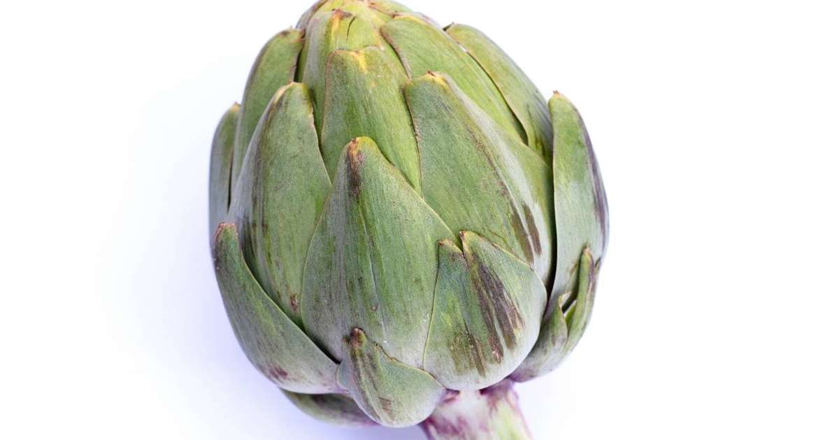 Chá de alcachofra: aliado natural para o fígado, digestão e equilíbrio ...