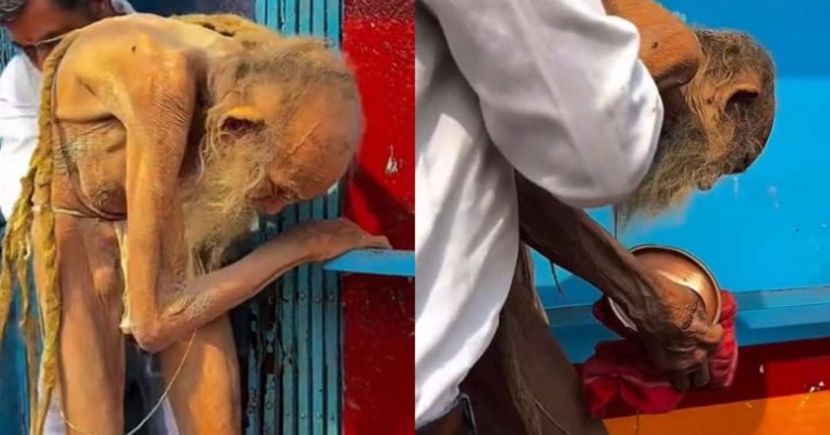 689345015-collection-reproduction-of-social-networks