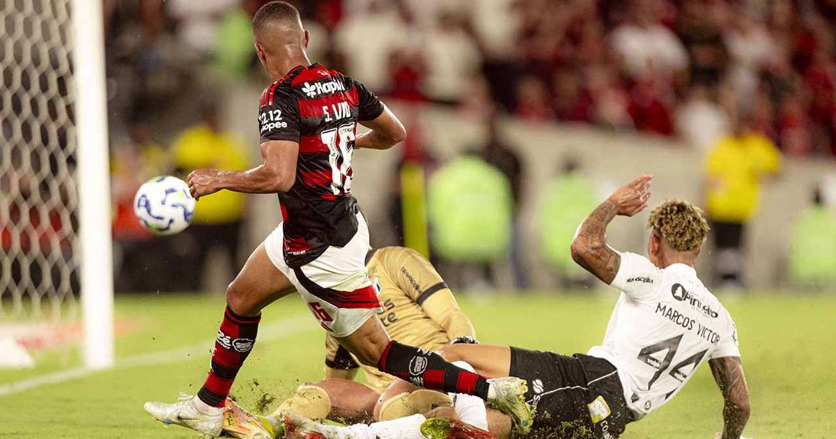 Roberto Assaf: Flamengo é enea brasileiro. Obrigação