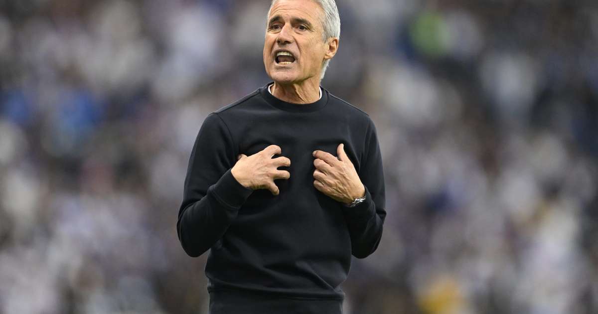 Chegada de Luís Castro provoca demissão no Grêmio; saiba mais