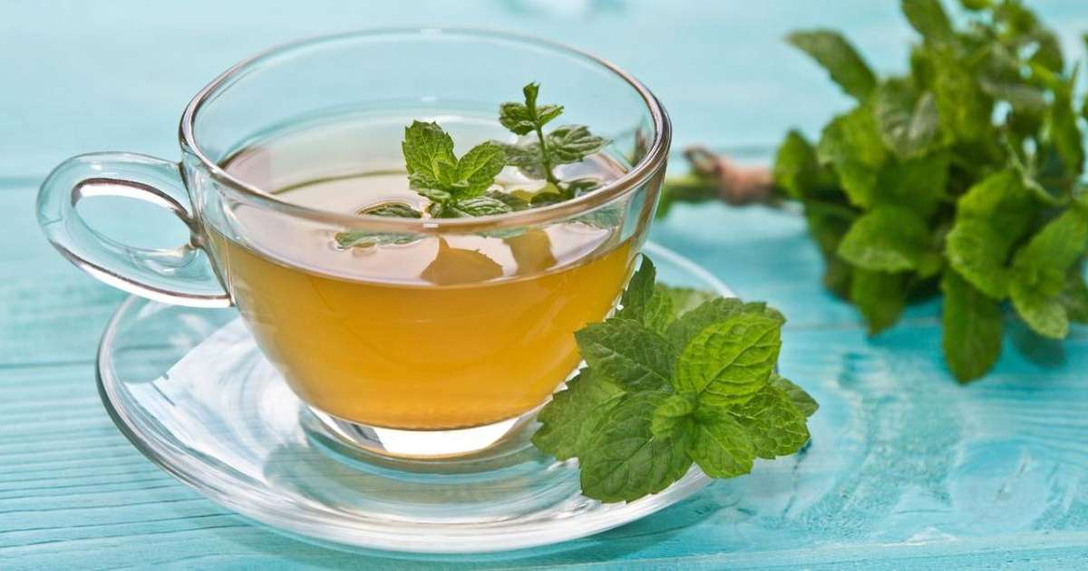 Chá de hortelã antes de dormir faz bem ou atrapalha o sono?