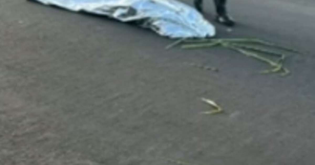 Médica que atestou morte de mulher que estava viva em SP é afastada; vítima está na UTI