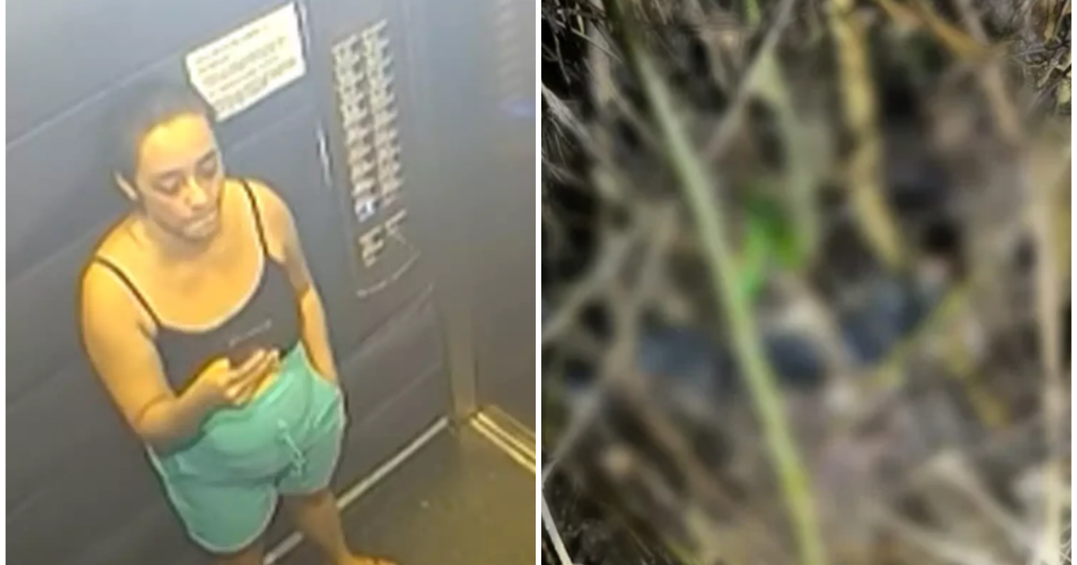 Síndico confessou crime e levou polícia até local onde deixou o corpo ...