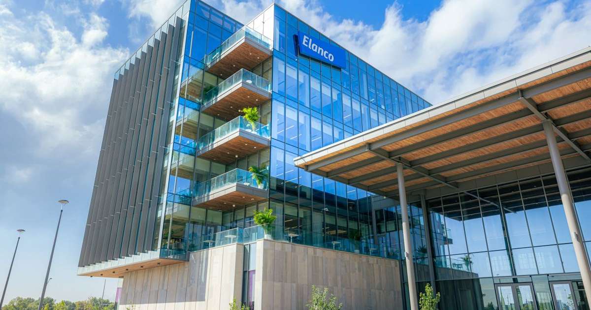 Elanco cresce 7% e estima receita acima de US$ 5 bi em 2026